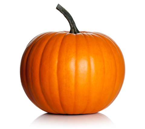 [ Pumpkin ]